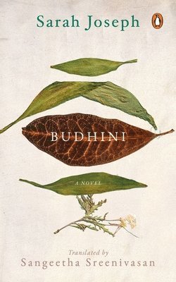 bokomslag Budhini
