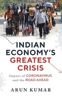 bokomslag Indian Economy's Greatest Crisis