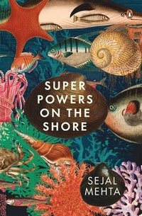 bokomslag Super Powers on the Shore