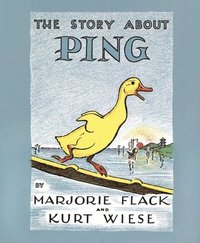 bokomslag Story About Ping