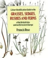 bokomslag Rose, F: Colour Identification Guide to the Grasses, Sedges,