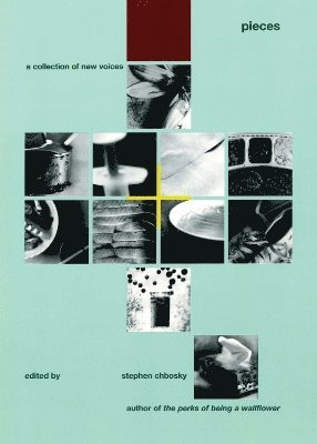 Stephen Chbosky - Pieces, Häftad