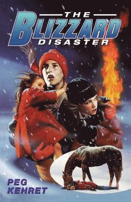 The Blizzard Disaster 1