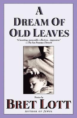 Bret Lott - A Dream of Old Leaves, Häftad