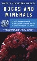 bokomslag S & S Guide To Rocks And Minerals