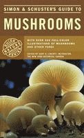 bokomslag S&S Guide to Mushrooms