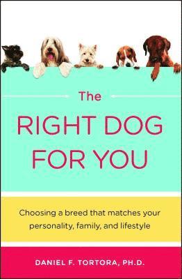 The Right Dog for You 1