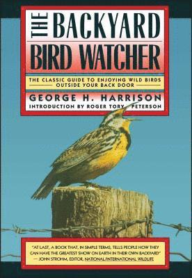 Backyard Bird-Watcher 1
