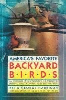 bokomslag America's Favorite Backyard Birds