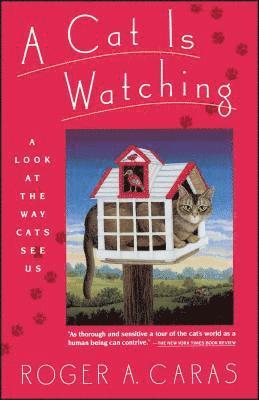 Roger A Caras - Cat is Watching, Häftad