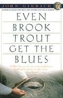 Even Brook Trout Get the Blues 1