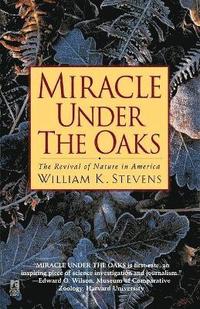 bokomslag Miracle Under the Oaks