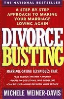 bokomslag Divorce Busting
