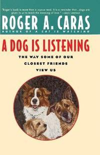 bokomslag A Dog is Listening