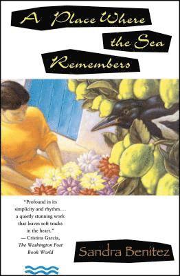 Sandra Aamodt - Place Where the Sea Remembers, Häftad
