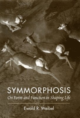 Symmorphosis 1