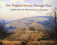 bokomslag New England Forests Through Time