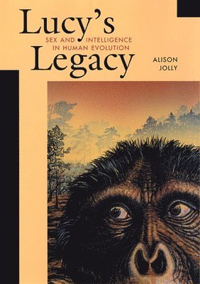 bokomslag Lucy's Legacy