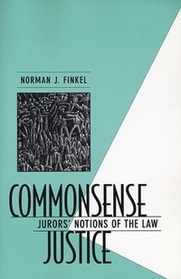 bokomslag Commonsense Justice