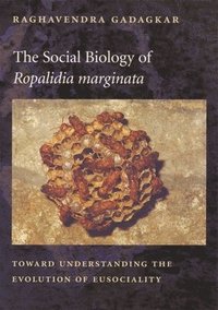 bokomslag The Social Biology of Ropalidia marginata