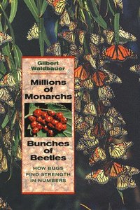 bokomslag Millions of Monarchs, Bunches of Beetles