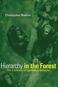 bokomslag Hierarchy in the Forest