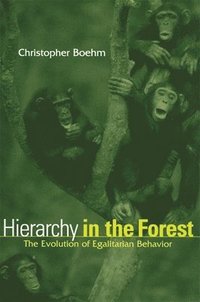 bokomslag Hierarchy in the Forest