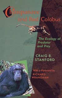bokomslag Chimpanzee and Red Colobus