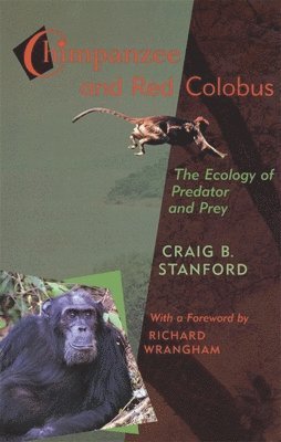 Chimpanzee and Red Colobus 1