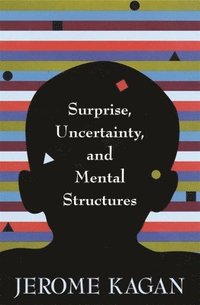 bokomslag Surprise, Uncertainty, and Mental Structures