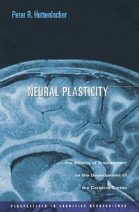 bokomslag Neural Plasticity