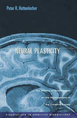 Neural Plasticity 1