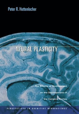 Neural Plasticity 1