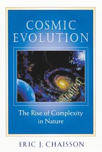 bokomslag Cosmic Evolution
