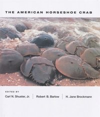 bokomslag The American Horseshoe Crab