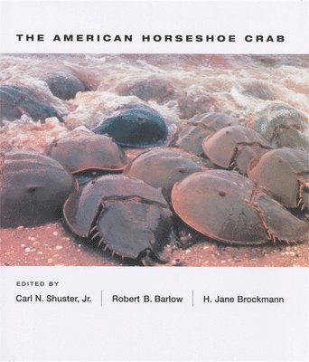 Carl N. Shuster Jr., H. Jane Brockmann, Robert B. Barlow - American Horseshoe Crab, Inbunden