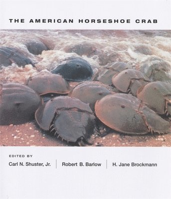 bokomslag The American Horseshoe Crab