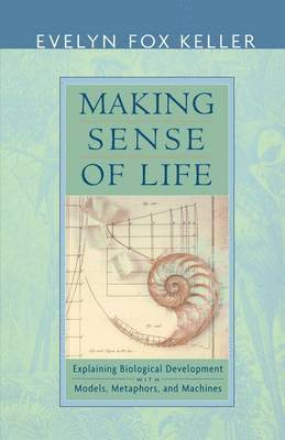 Making Sense of Life 1