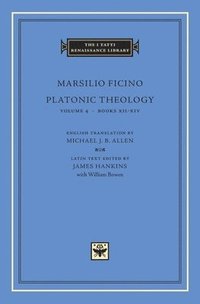 bokomslag Platonic Theology: Volume 4