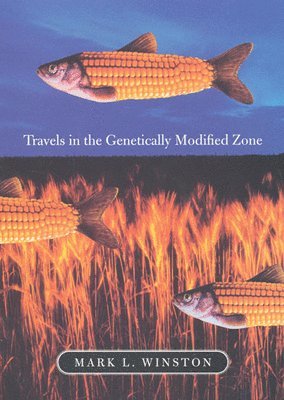 Travels in the Genetically Modified Zone 1