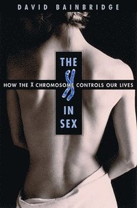 bokomslag The X in Sex