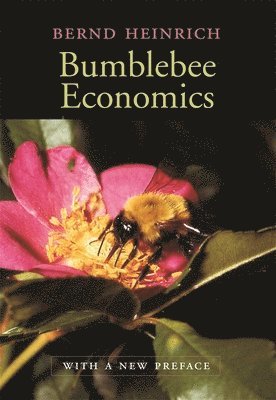 bokomslag Bumblebee Economics