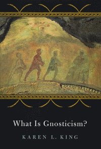 bokomslag What Is Gnosticism?