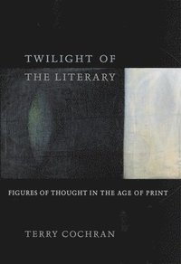 bokomslag Twilight of the Literary