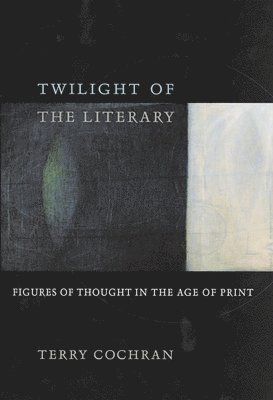 bokomslag Twilight of the Literary