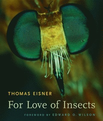 Thomas Eisner - For Love of Insects, Häftad