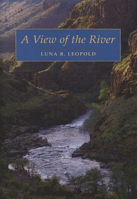 A View of the River 1