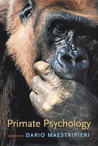 bokomslag Primate Psychology