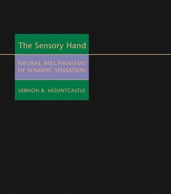 Sensory Hand