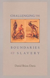 bokomslag Challenging the Boundaries of Slavery